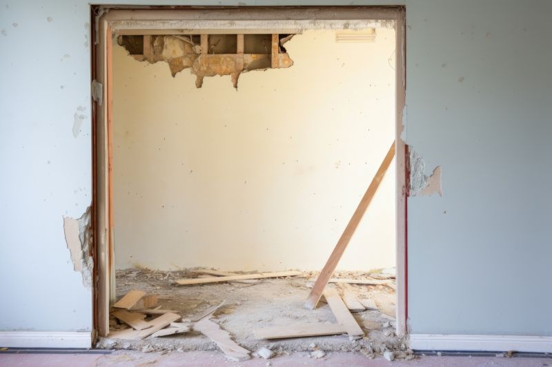 Interior Demolition