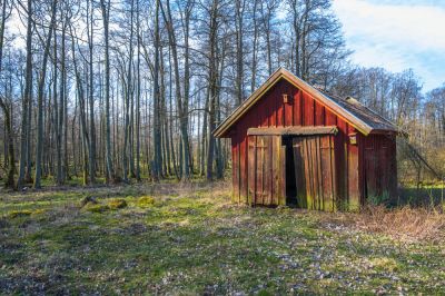 Reclaim Space with Shed Removal!