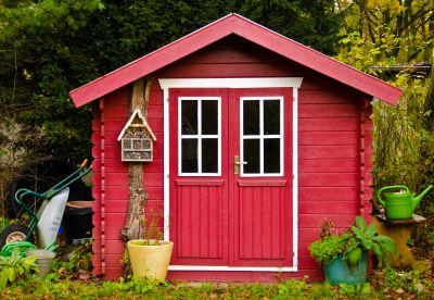 Shed Removal