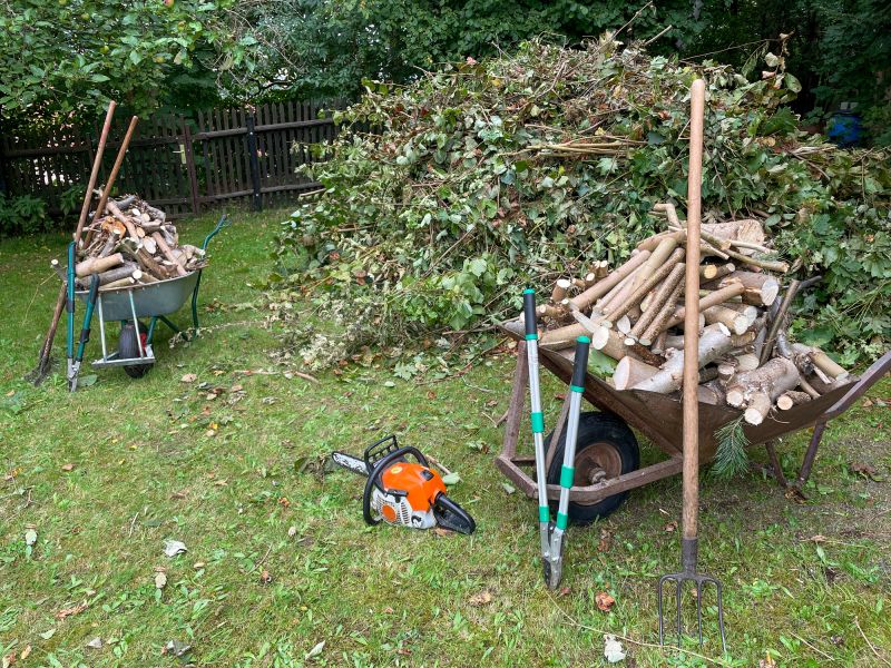 Shed Removal