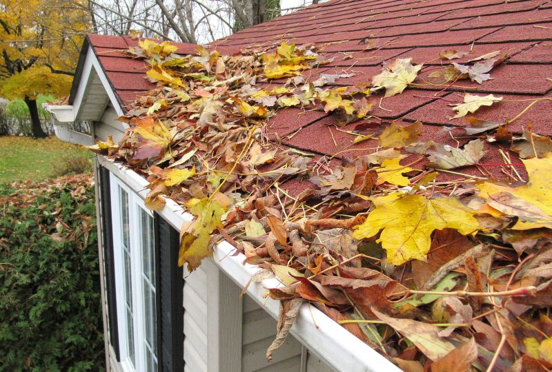 Autumn Shed Removal